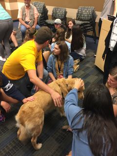 students pet a dog inside the hall